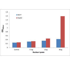 Validation Data - p53 (phospho Ser20) ELISA Kit (TFE-7186) - Antibodies.com