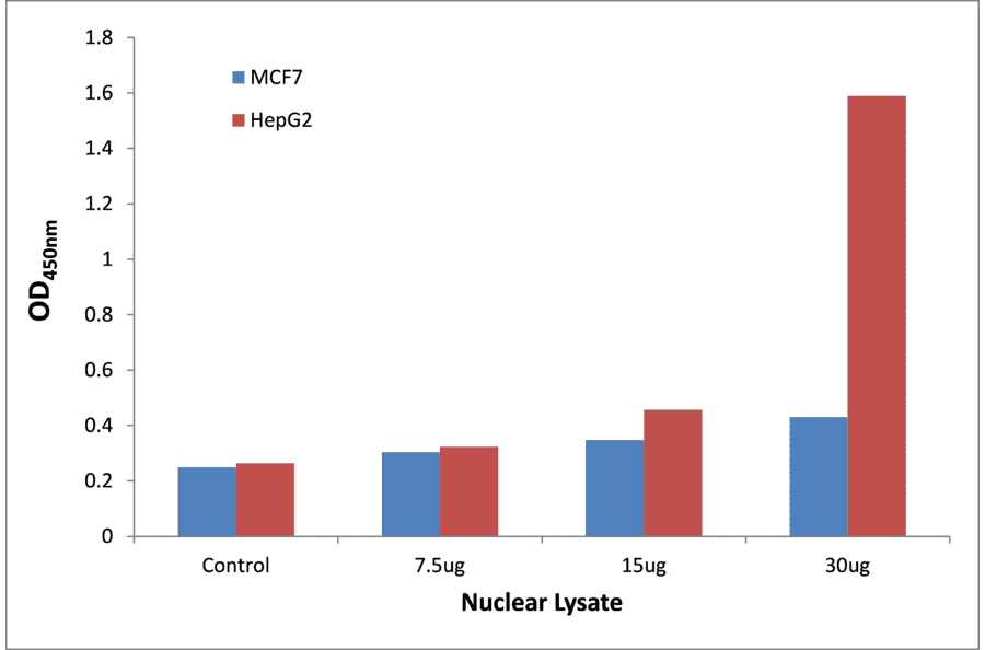 Validation Data - p53 (phospho Ser20) ELISA Kit (TFE-7186) - Antibodies.com