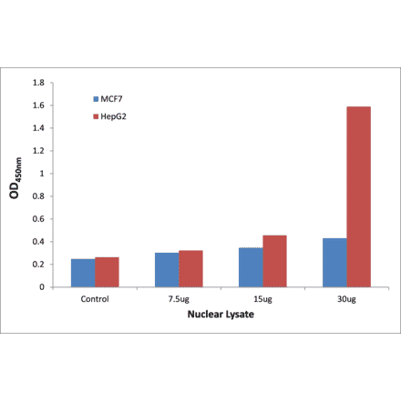 Validation Data - p53 (phospho Ser20) ELISA Kit (TFE-7186) - Antibodies.com