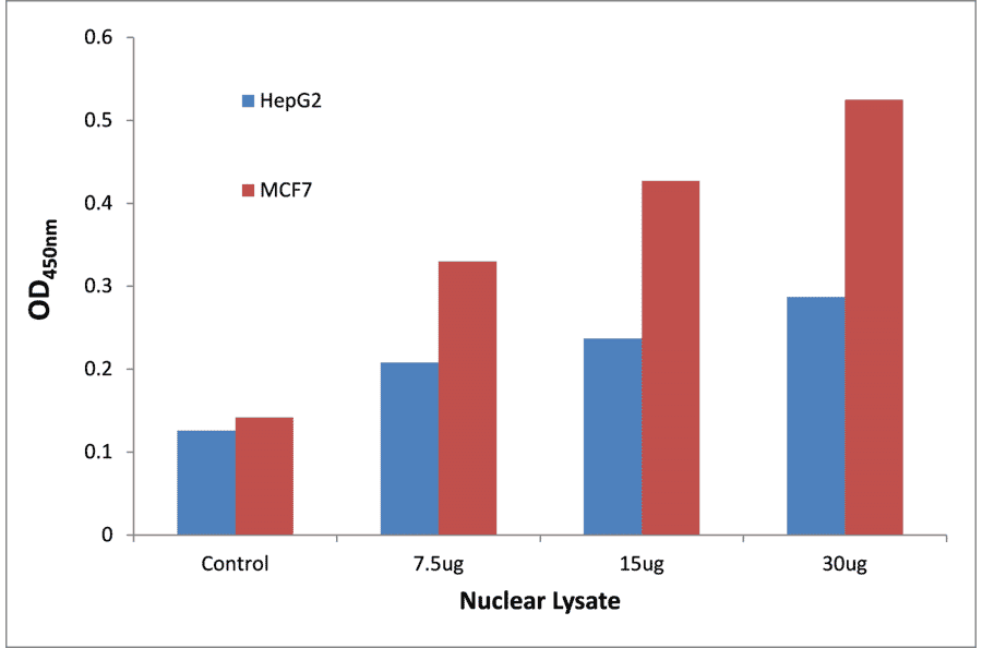Validation Data - p53 (phospho Ser33) ELISA Kit (TFE-7187) - Antibodies.com