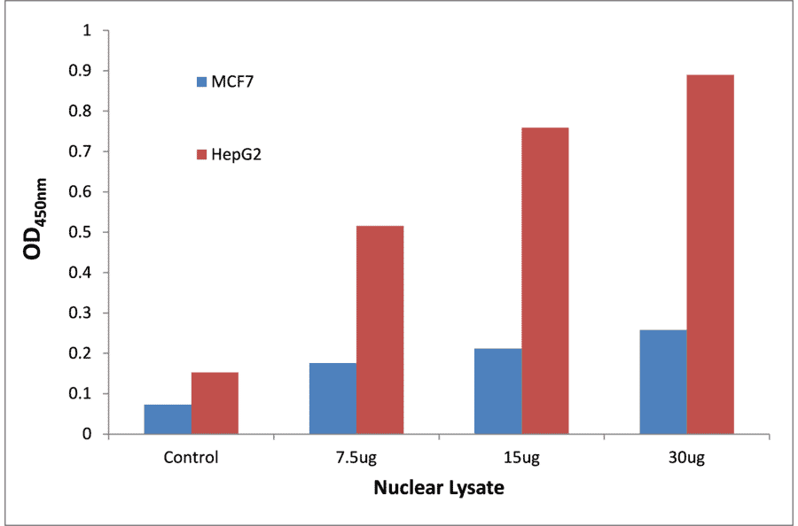 Validation Data - p53 (phospho Thr18) ELISA Kit (TFE-7188) - Antibodies.com