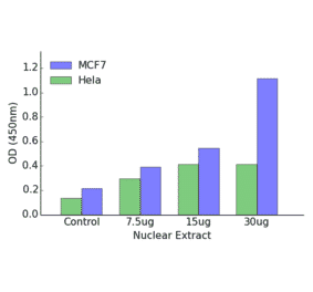 Validation Data - Androgen Receptor ELISA Kit (TFE-7021) - Antibodies.com