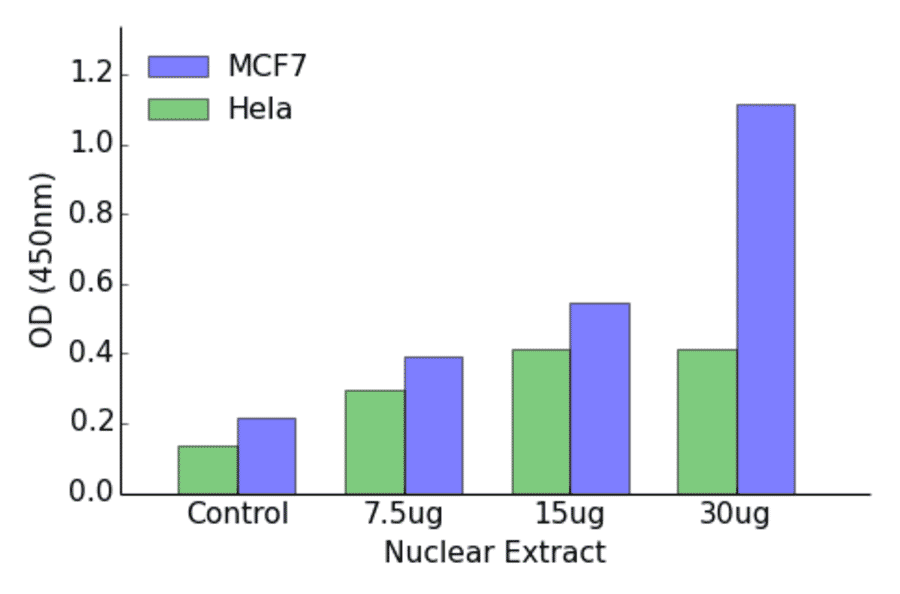 Validation Data - Androgen Receptor ELISA Kit (TFE-7021) - Antibodies.com