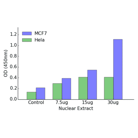 Validation Data - Androgen Receptor ELISA Kit (TFE-7021) - Antibodies.com