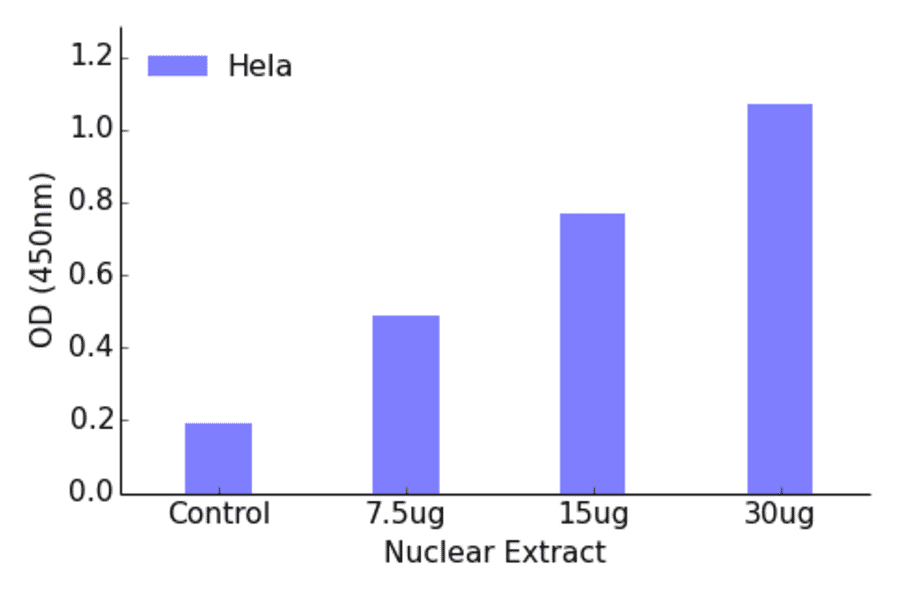 Validation Data - FOXC1 + FOXC12 ELISA Kit (TFE-7066) - Antibodies.com
