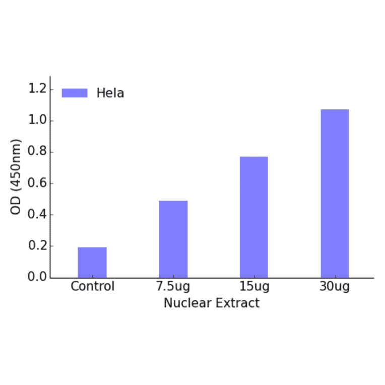 Validation Data - FOXC1 + FOXC12 ELISA Kit (TFE-7066) - Antibodies.com