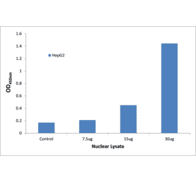 Validation Data - NF-kappaB p65 ELISA Kit (TFE-7116) - Antibodies.com