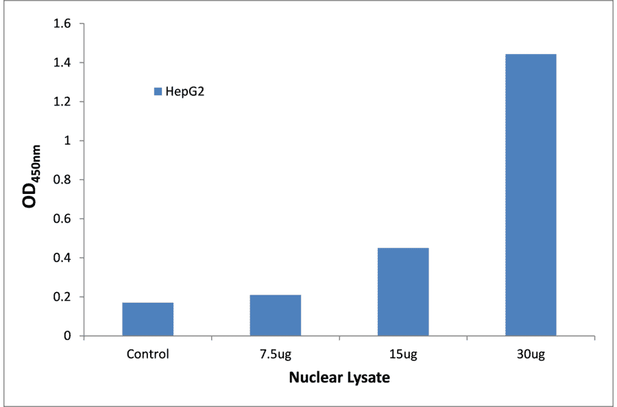 Validation Data - NF-kappaB p65 ELISA Kit (TFE-7116) - Antibodies.com