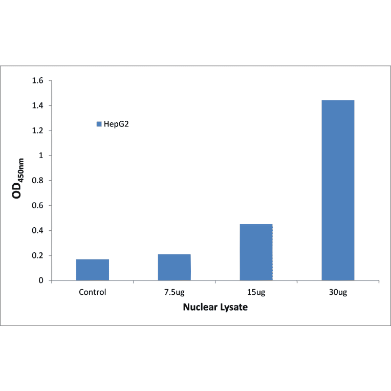 Validation Data - NF-kappaB p65 ELISA Kit (TFE-7116) - Antibodies.com