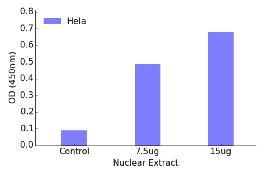 Validation Data - CREB3L2 ELISA Kit (TFE-7036) - Antibodies.com