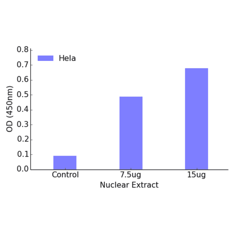 Validation Data - CREB3L2 ELISA Kit (TFE-7036) - Antibodies.com