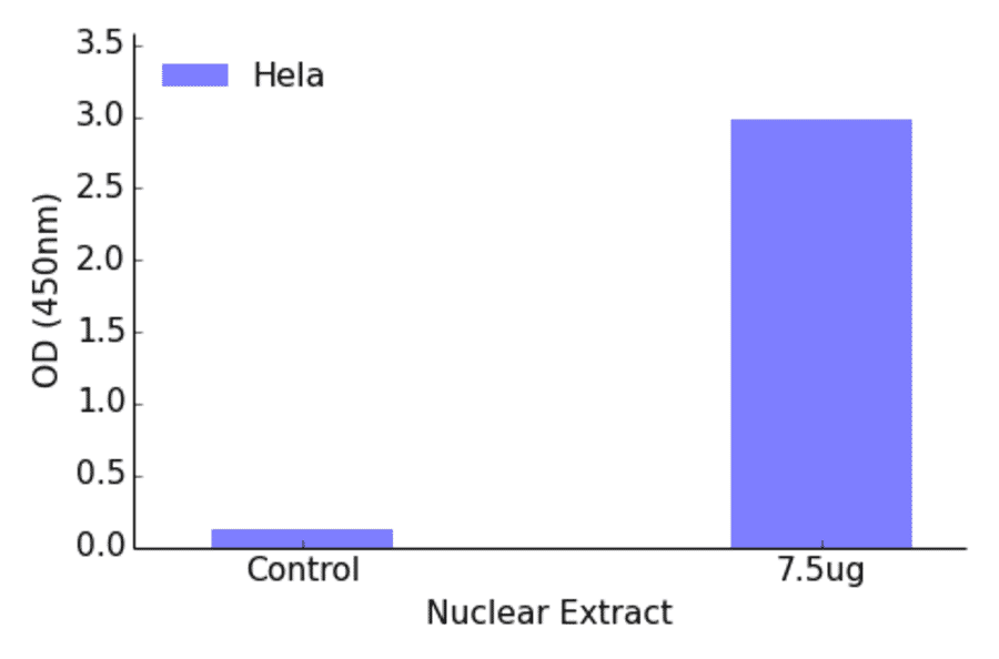 Validation Data - GTF2IRD1 ELISA Kit (TFE-7083) - Antibodies.com