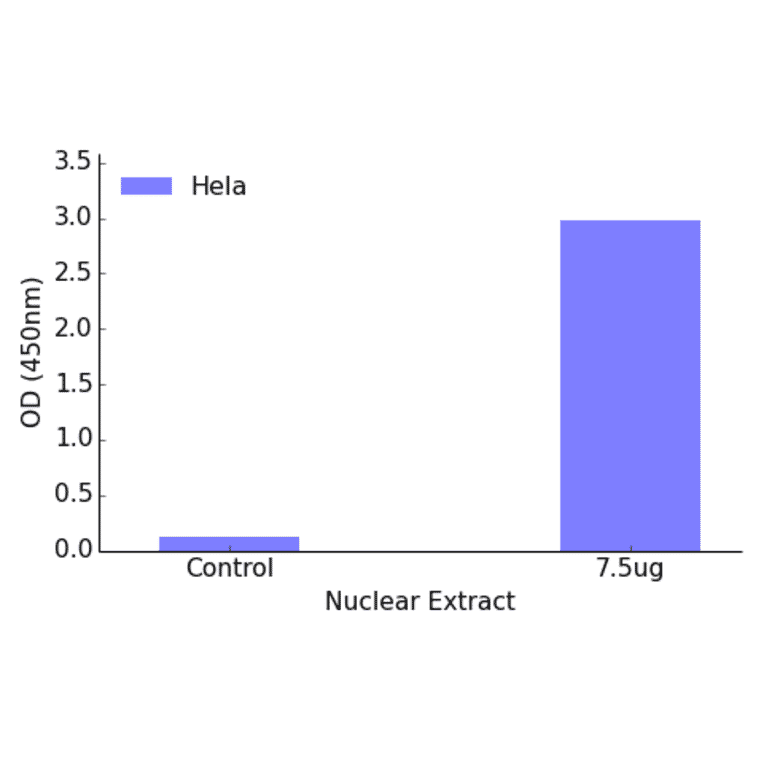 Validation Data - GTF2IRD1 ELISA Kit (TFE-7083) - Antibodies.com