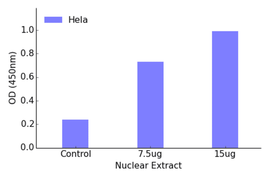 Validation Data - POU4F1 ELISA Kit (TFE-7129) - Antibodies.com