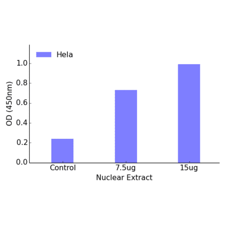 Validation Data - POU4F1 ELISA Kit (TFE-7129) - Antibodies.com