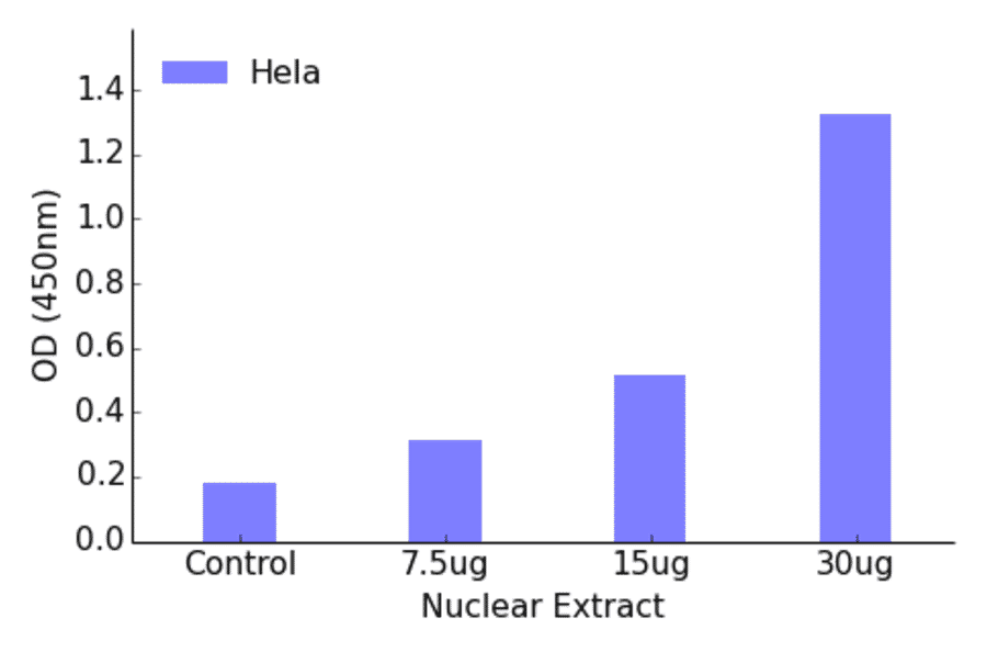 Validation Data - RUNX3 ELISA Kit (TFE-7004) - Antibodies.com