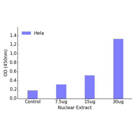 Validation Data - RUNX3 ELISA Kit (TFE-7004) - Antibodies.com