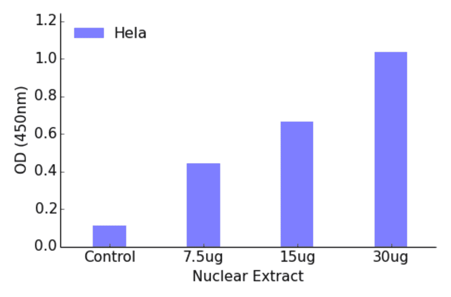 Validation Data - FKHRL1 ELISA Kit (TFE-7064) - Antibodies.com