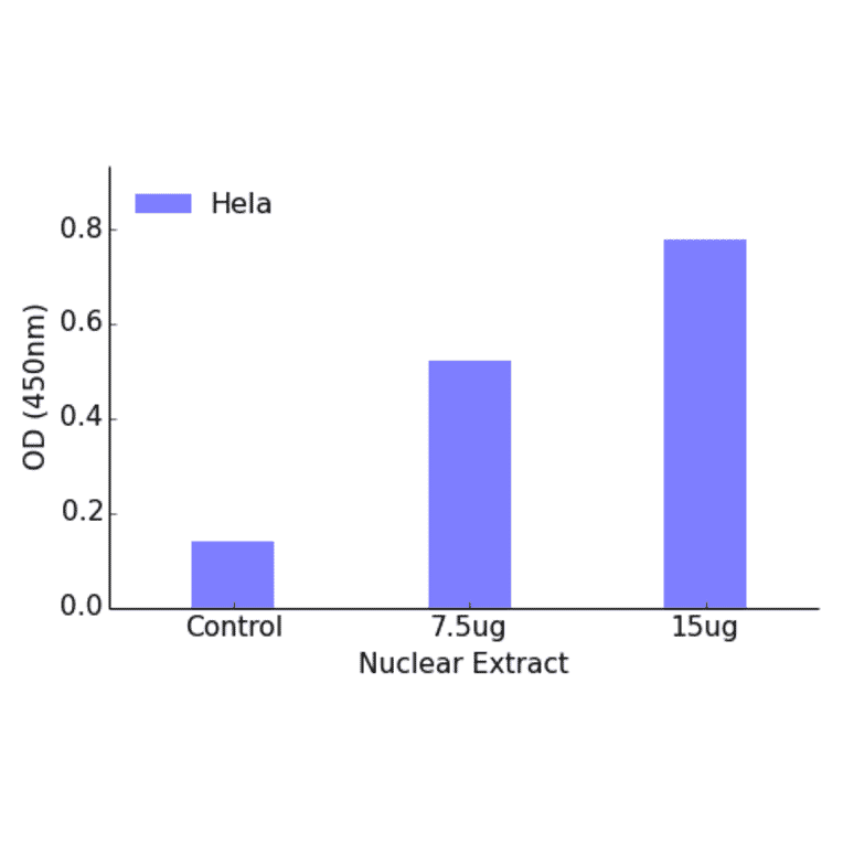 Validation Data - FOXO1A ELISA Kit (TFE-7070) - Antibodies.com
