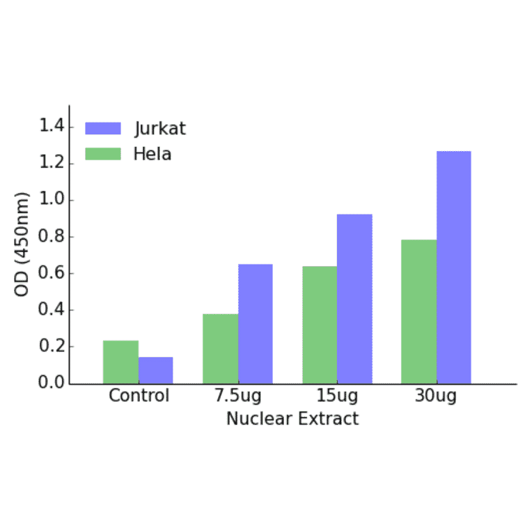 Validation Data - HOXD12 ELISA Kit (TFE-7090) - Antibodies.com