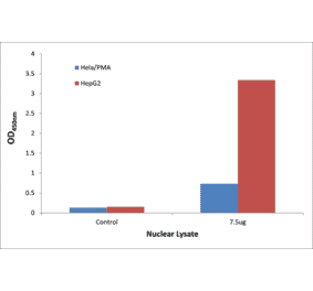 Validation Data - STAT5A ELISA Kit (TFE-7154) - Antibodies.com