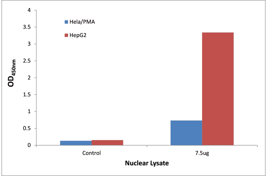 Validation Data - STAT5A ELISA Kit (TFE-7154) - Antibodies.com