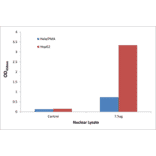 Validation Data - STAT5A ELISA Kit (TFE-7154) - Antibodies.com