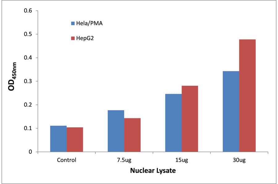 Validation Data - STAT5B ELISA Kit (TFE-7179) - Antibodies.com