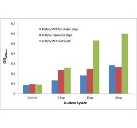 Validation Data - B-Myb ELISA Kit (TFE-7191) - Antibodies.com