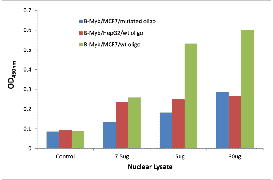Validation Data - B-Myb ELISA Kit (TFE-7191) - Antibodies.com