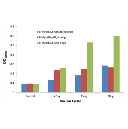 Validation Data - B-Myb ELISA Kit (TFE-7191) - Antibodies.com