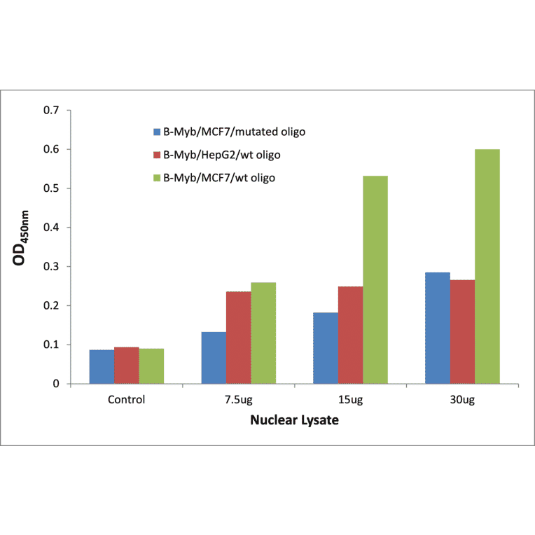 Validation Data - B-Myb ELISA Kit (TFE-7191) - Antibodies.com