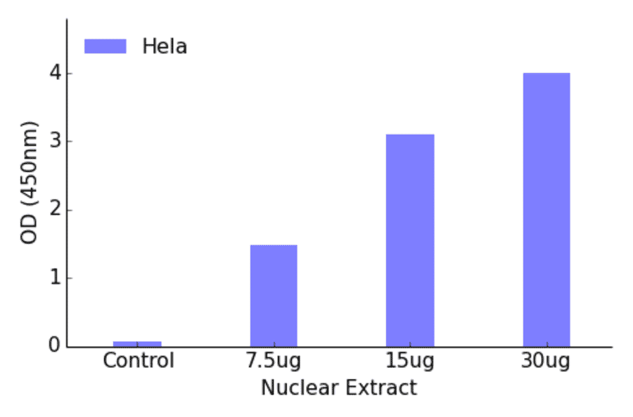 Validation Data - ATF1 ELISA Kit (TFE-7024) - Antibodies.com