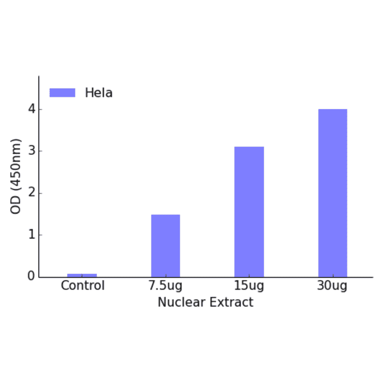 Validation Data - ATF1 ELISA Kit (TFE-7024) - Antibodies.com
