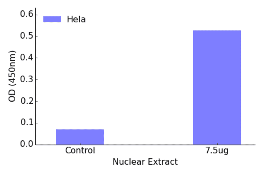 Validation Data - ATF5 ELISA Kit (TFE-7030) - Antibodies.com