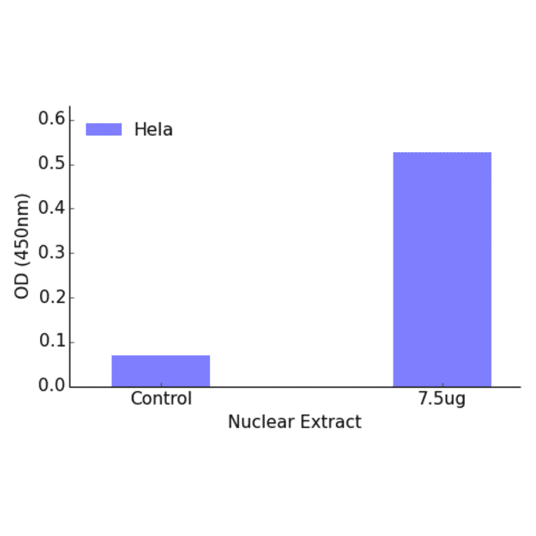 Validation Data - ATF5 ELISA Kit (TFE-7030) - Antibodies.com
