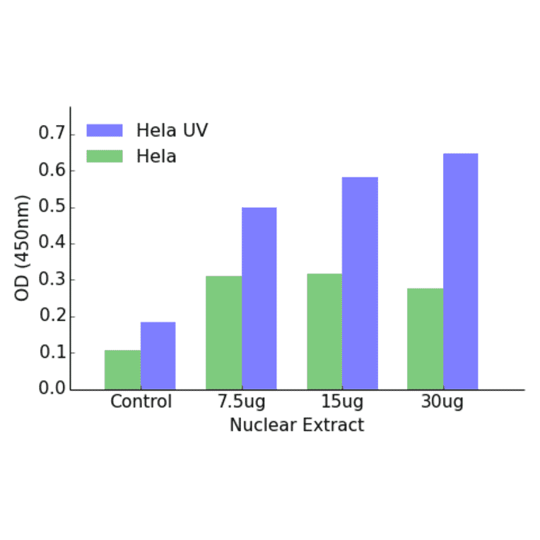 Validation Data - ATF7 ELISA Kit (TFE-7031) - Antibodies.com