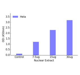 Validation Data - FOXO1 ELISA Kit (TFE-7063) - Antibodies.com