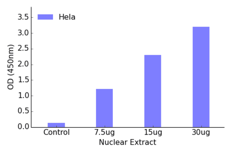 Validation Data - FOXO1 ELISA Kit (TFE-7063) - Antibodies.com