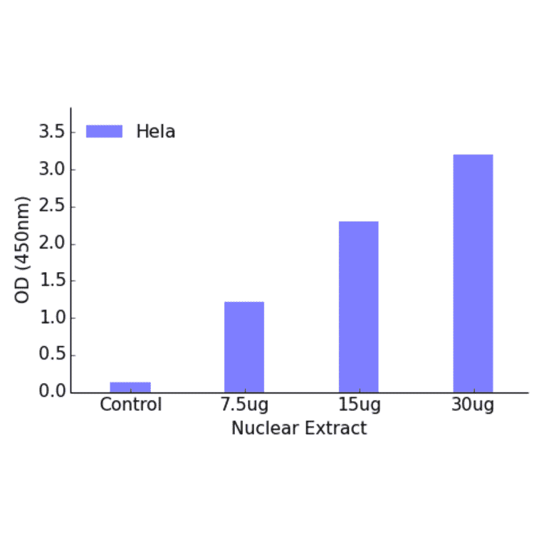 Validation Data - FOXO1 ELISA Kit (TFE-7063) - Antibodies.com