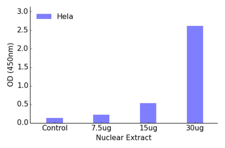 Validation Data - FOXB2 ELISA Kit (TFE-7065) - Antibodies.com