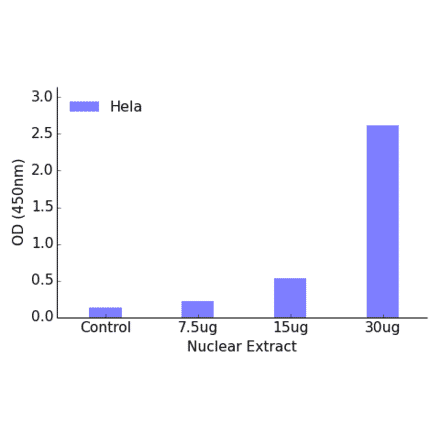 Validation Data - FOXB2 ELISA Kit (TFE-7065) - Antibodies.com