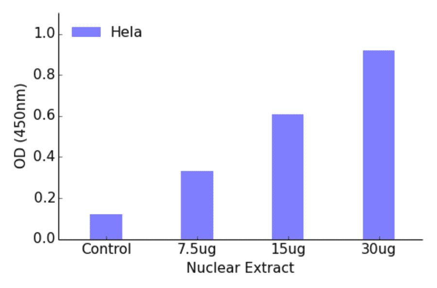 Validation Data - FOXH1 ELISA Kit (TFE-7068) - Antibodies.com