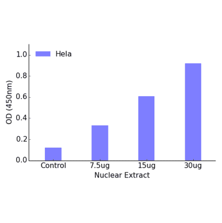 Validation Data - FOXH1 ELISA Kit (TFE-7068) - Antibodies.com