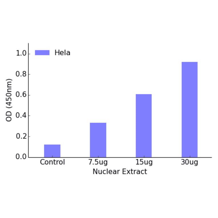 Validation Data - FOXH1 ELISA Kit (TFE-7068) - Antibodies.com