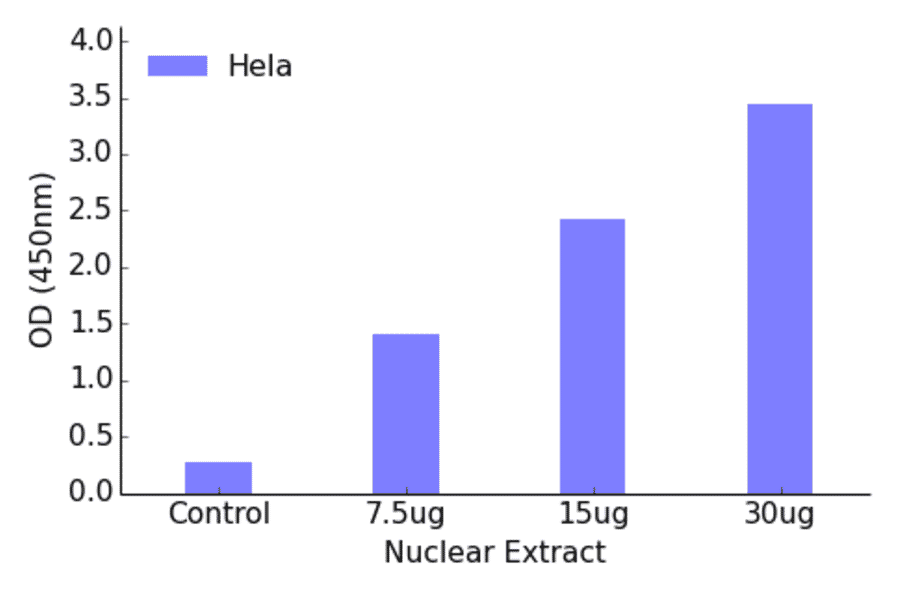 Validation Data - FOXL1 ELISA Kit (TFE-7069) - Antibodies.com