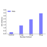 Validation Data - FOXL1 ELISA Kit (TFE-7069) - Antibodies.com