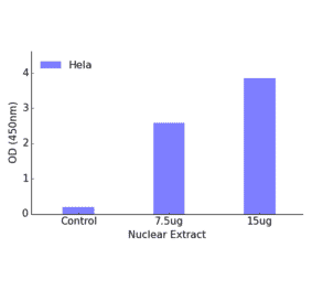 Validation Data - FOXK1 ELISA Kit (TFE-7071) - Antibodies.com