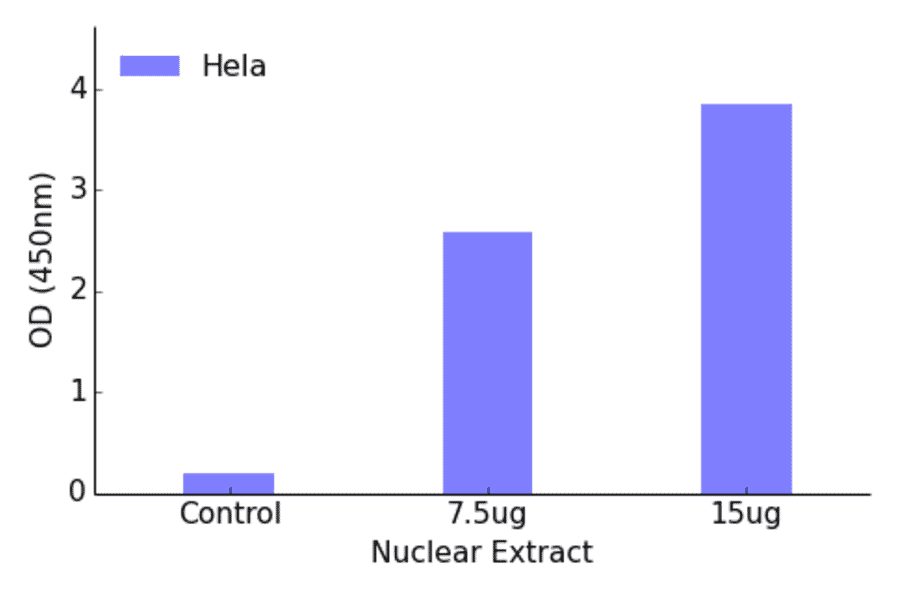 Validation Data - FOXK1 ELISA Kit (TFE-7071) - Antibodies.com