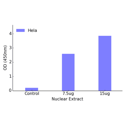 Validation Data - FOXK1 ELISA Kit (TFE-7071) - Antibodies.com